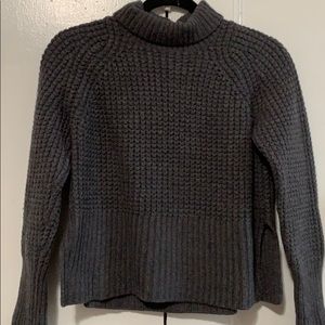 Everlane 100% wool waffle knit turtle neck sweater